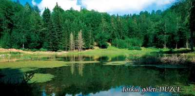 Torkul Yaylası ve Göleti